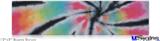 12x3 Bumper Sticker (Permanent) - Tie Dye Swirl 109