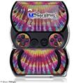 Tie Dye Rainbow Stripes - Decal Style Skins (fits Sony PSPgo)