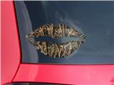 Lips Decal 9x5.5 WraptorCamo Grassy Marsh