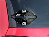 Lips Decal 9x5.5 Poppy Dark